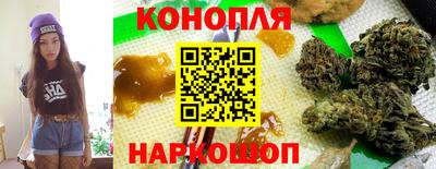 стаф Берёзовский