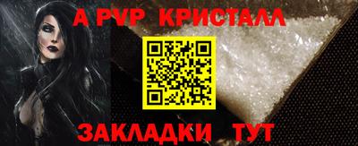 стаф Берёзовский