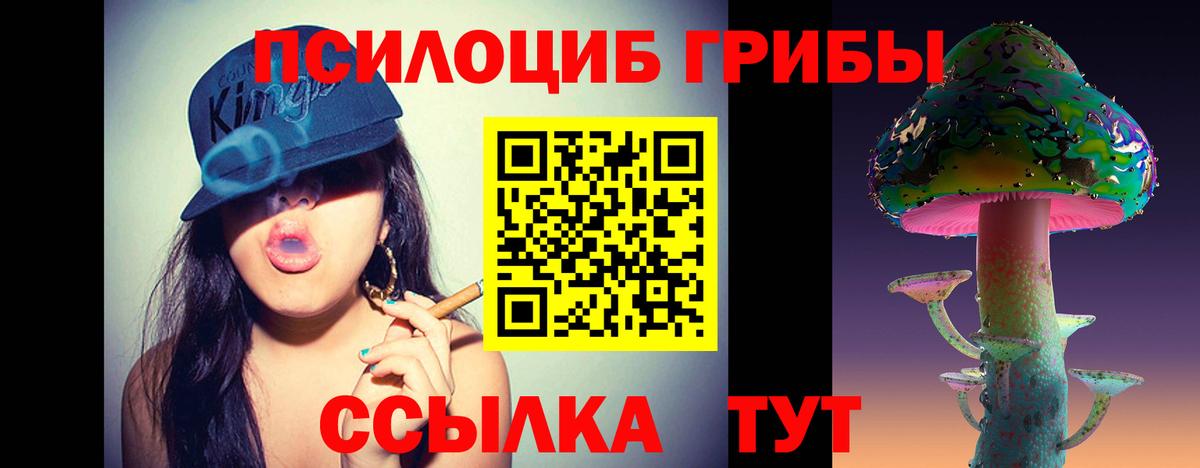 Галлюциногенные грибы Cubensis Кимры